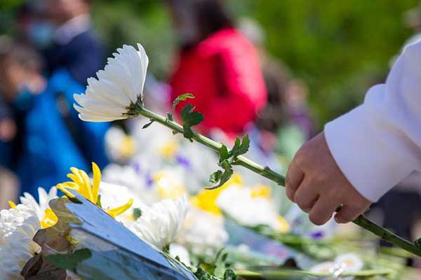 清明节祭扫指南