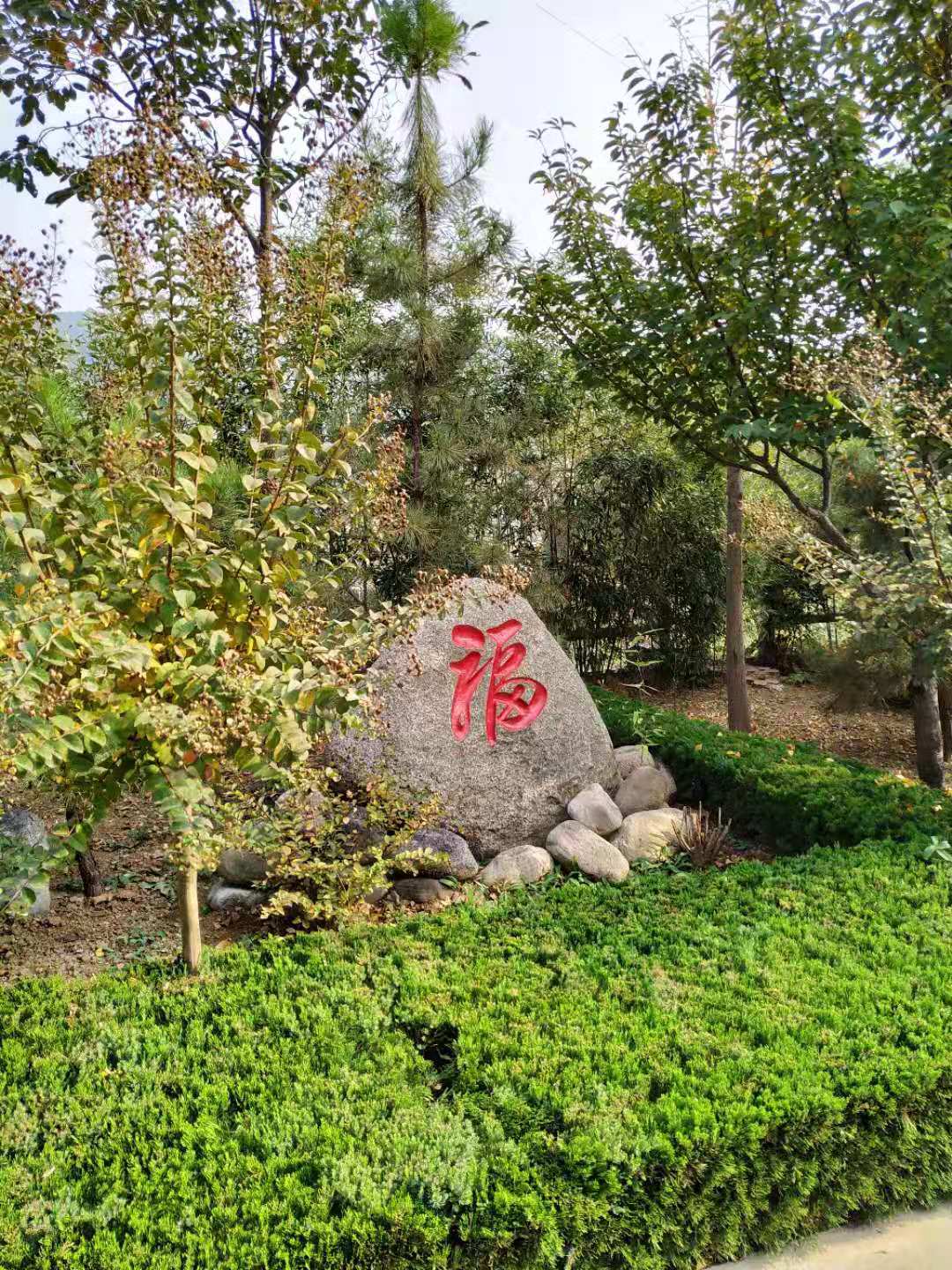 福舜园.jpg 福舜园.jpg