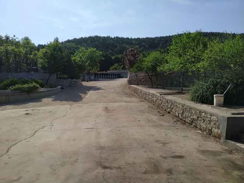 转山公墓环境 转山公墓环境