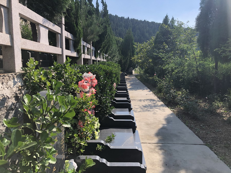 选墓位置要注意什么