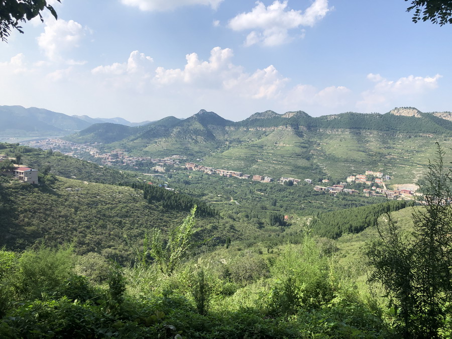 骨灰安葬 骨灰安葬