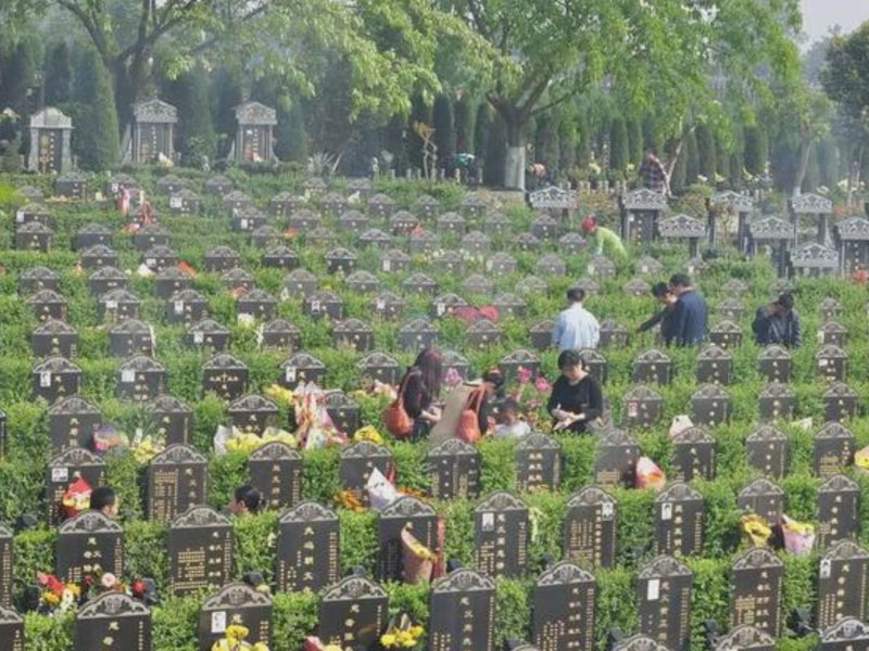 土葬到火葬 土葬到火葬