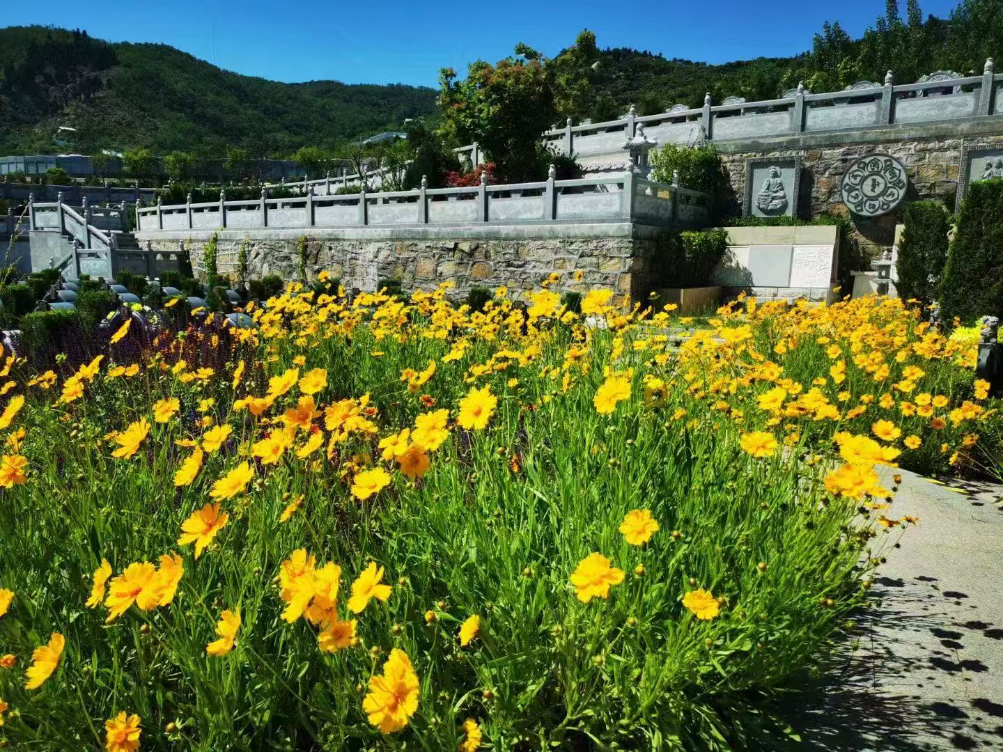 金陵慈航公园公墓