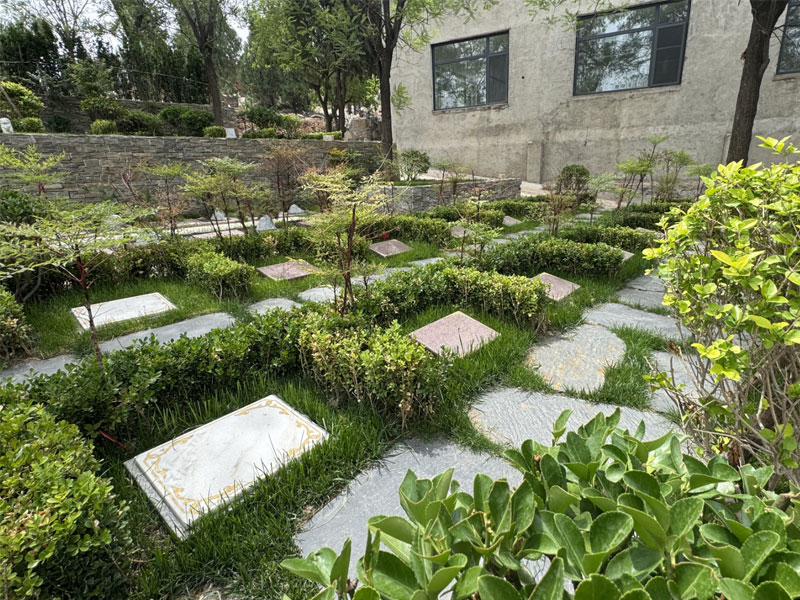 生态安葬 生态安葬