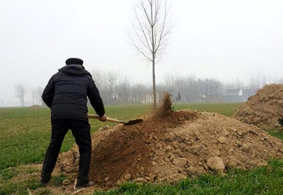 济南墓地迁坟 济南墓地迁坟