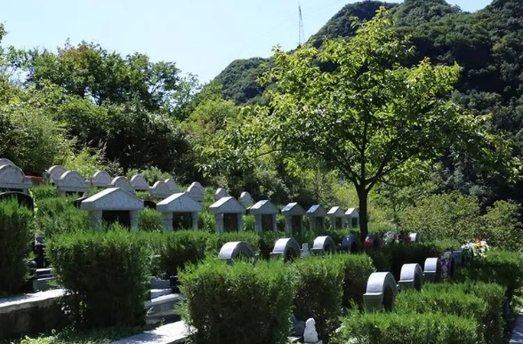 明智地为逝者挑选安息之地