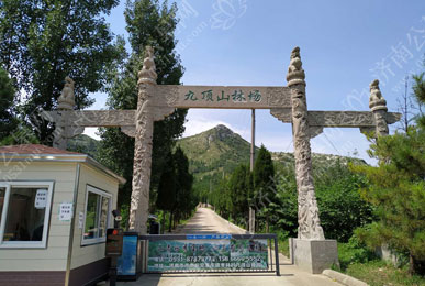 九顶山陵园 九顶山陵园