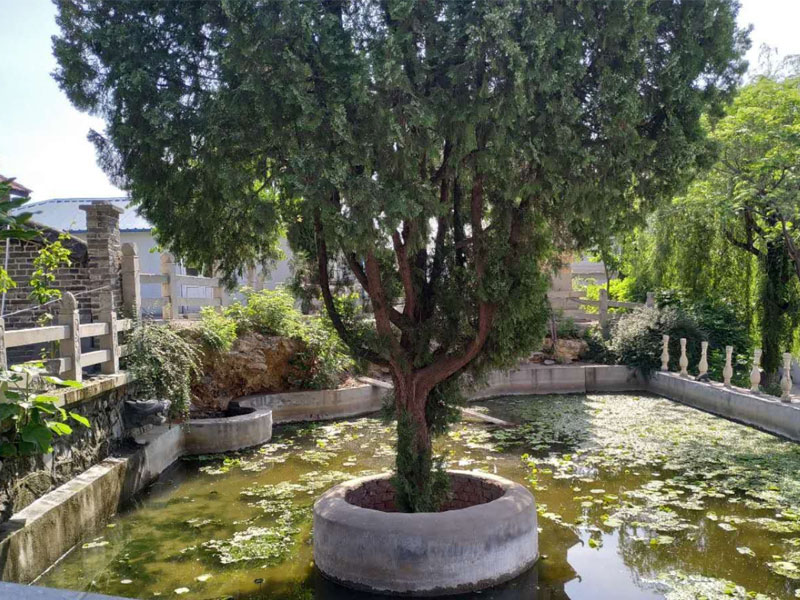 济南鳌角山陵园 济南鳌角山陵园