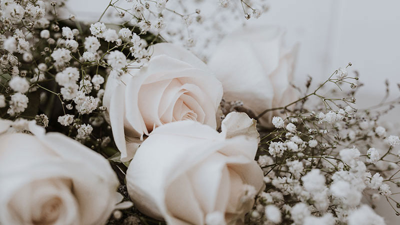 葬礼策划 葬礼策划