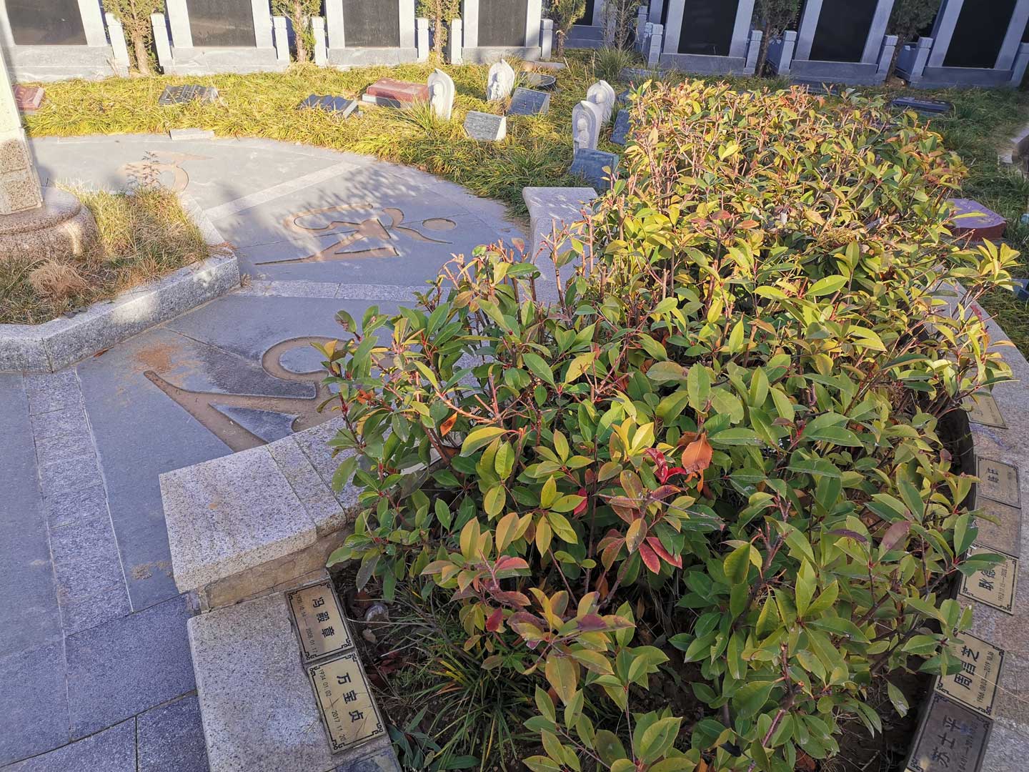 济南慈航园生态葬