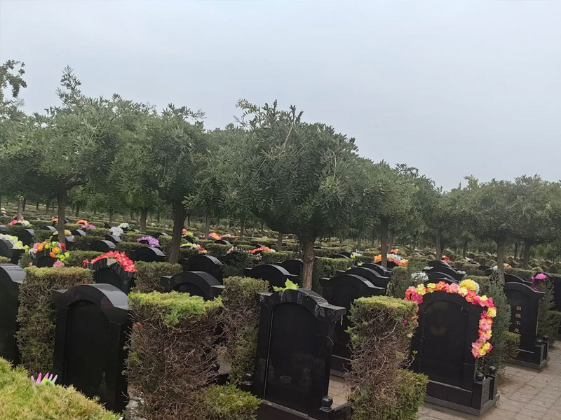 济南安葬