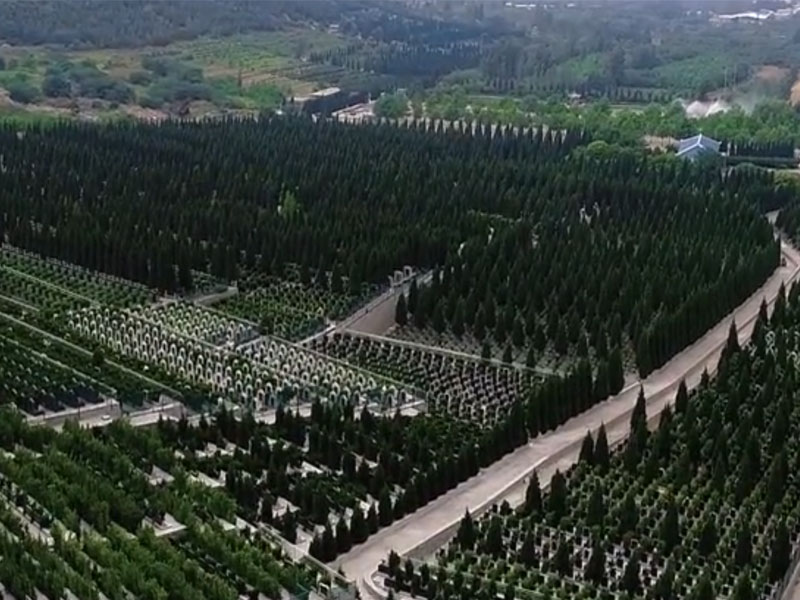 济南双峰山陵园