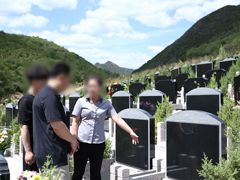 墓地购买现场 墓地购买现场