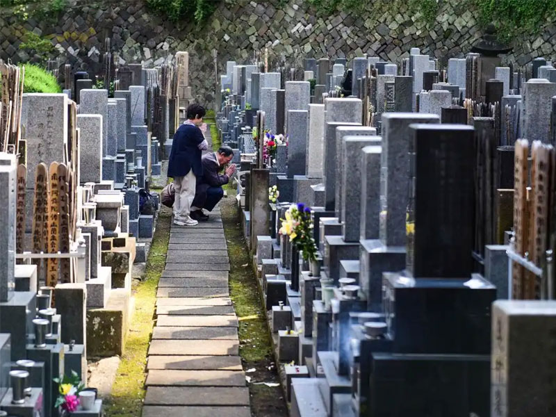 购墓全流程指南