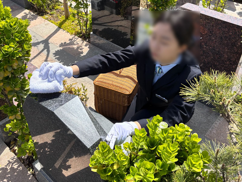 济南陵园提供的墓地清洁服务