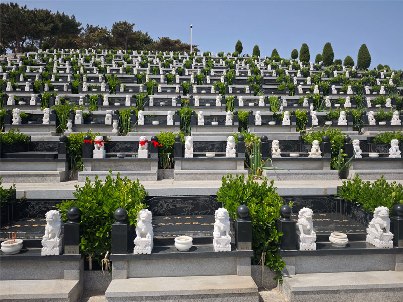 济南陵园购墓指南
