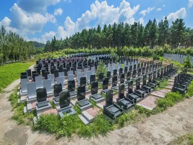 针对长期无人祭扫的墓地