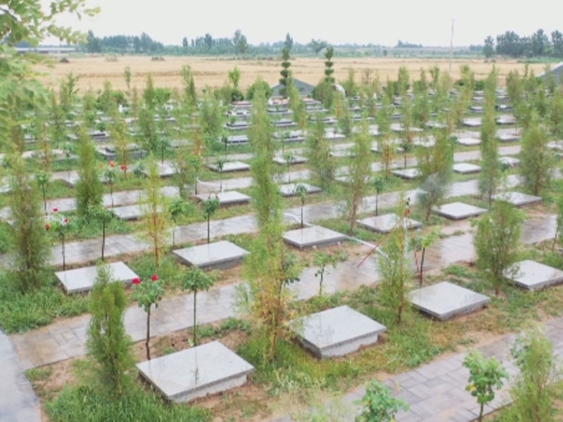 长期无人祭扫的墓地如何妥善处理