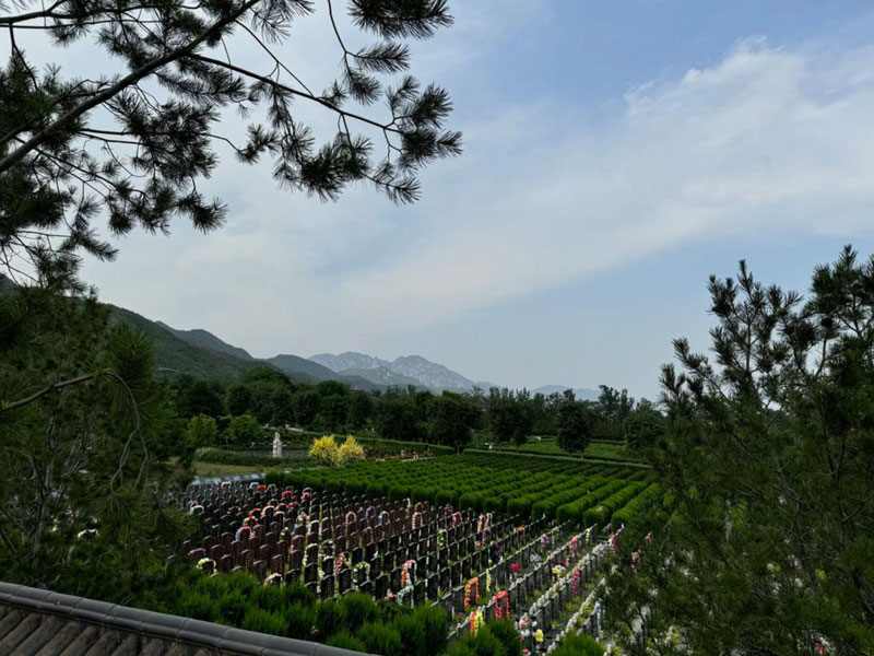 济南陵园墓地管理的统一性分析