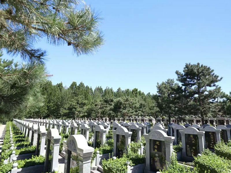 济南陵园墓地管理现状分析