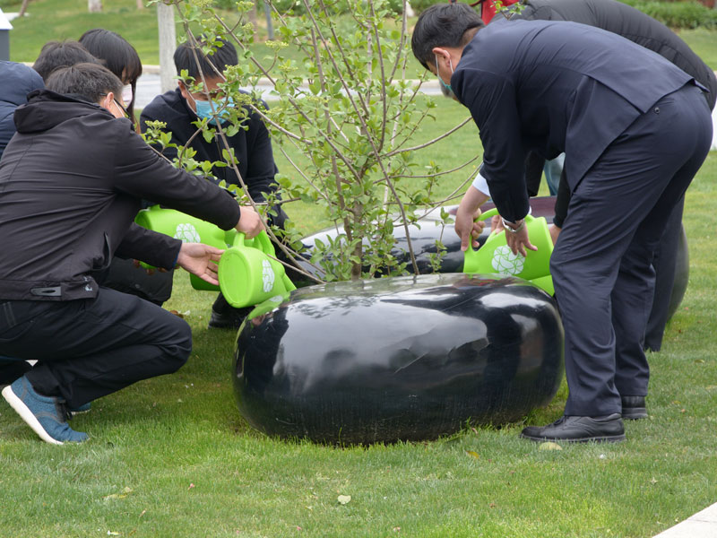 树葬是环保的安葬方式