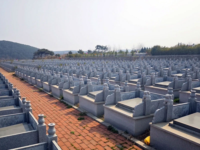 确保所选墓地符合城市规划和土地利用政策