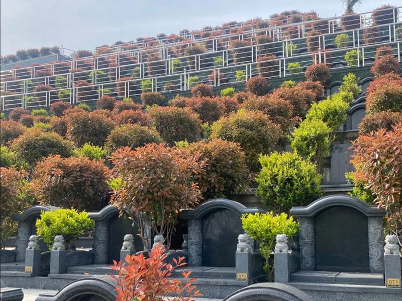 考察环境与建设因素