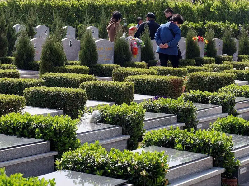 墓地祭扫带什么水果比较好