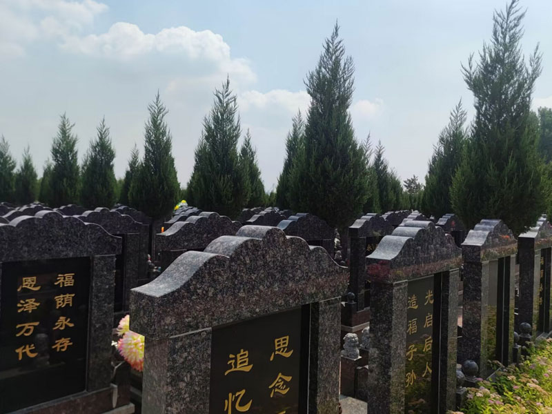 国家关于墓地购买的相关规定