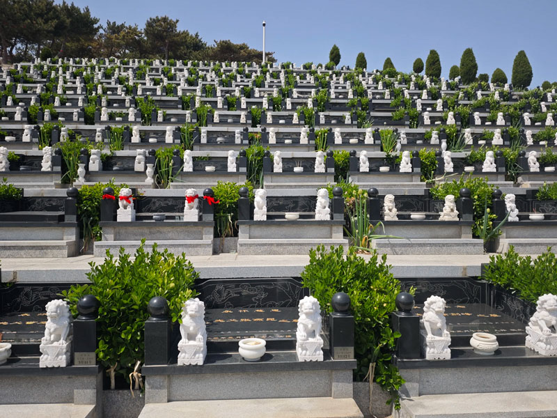 墓地迁坟全流程 墓地迁坟全流程