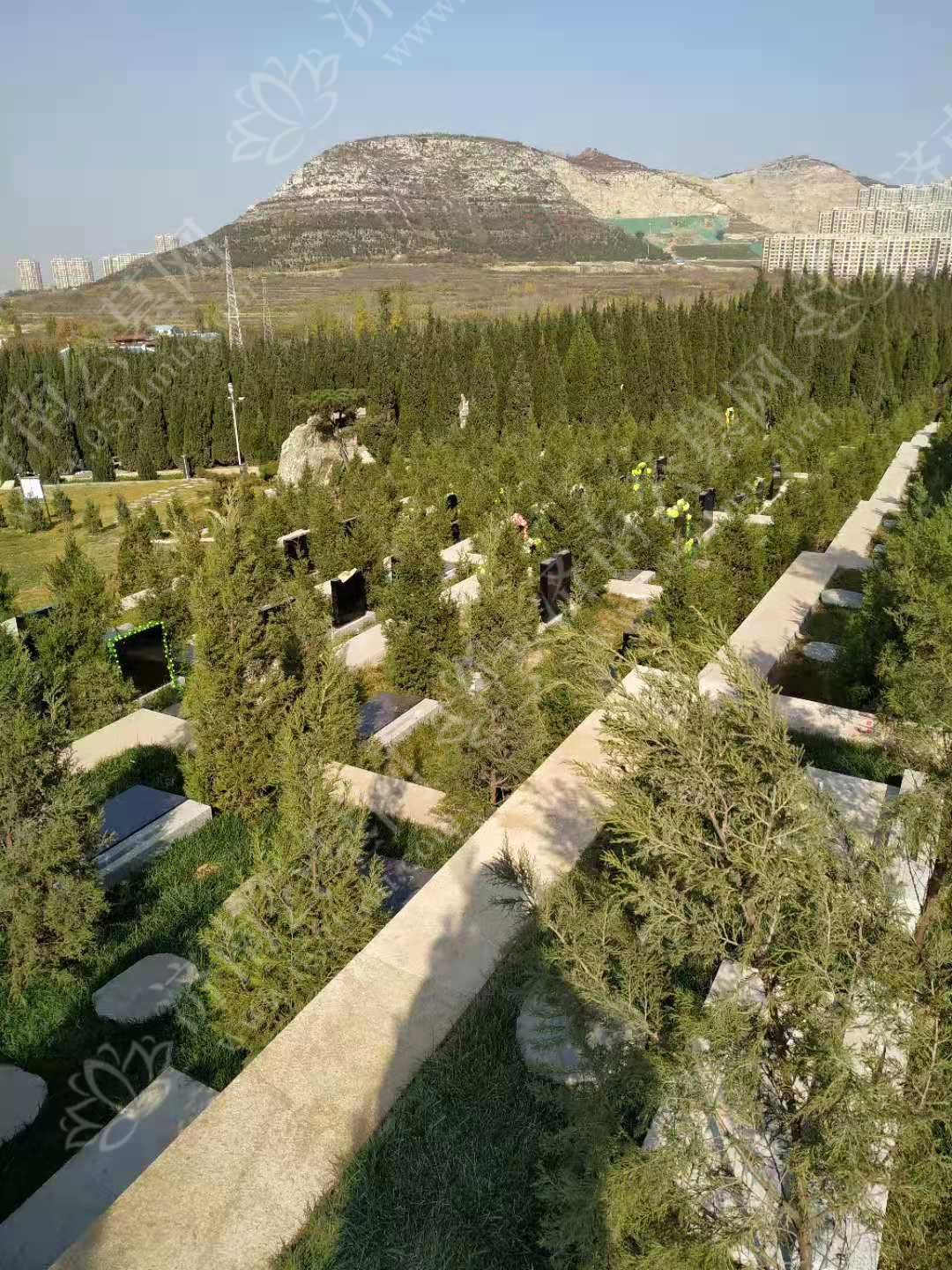 济南双峰山陵园的地理位置与环境优势 