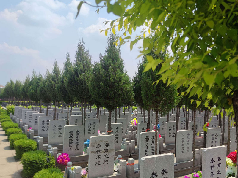 实地考察的重要性