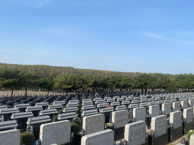 明确价格与预算 