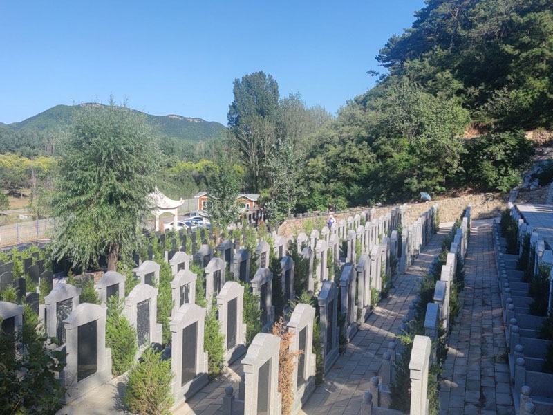 购买墓地注意事项