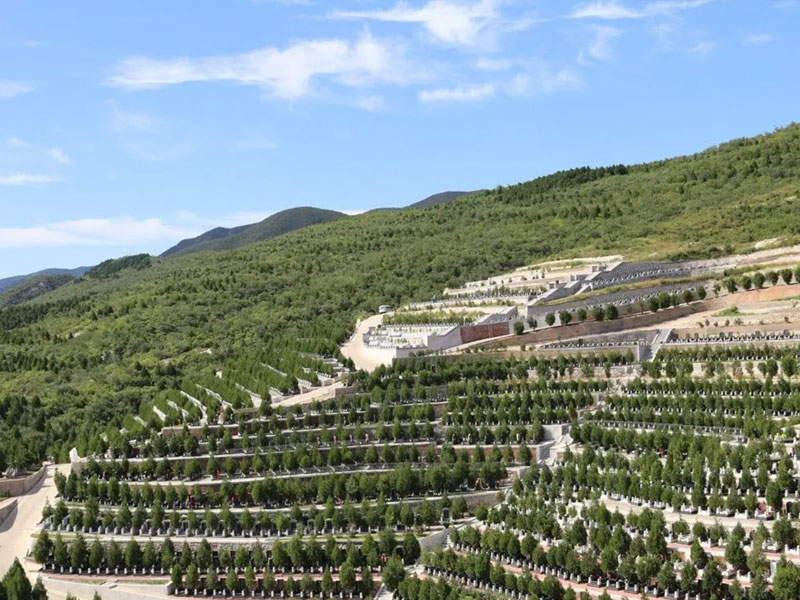 经营性公墓和公益性公墓的区别