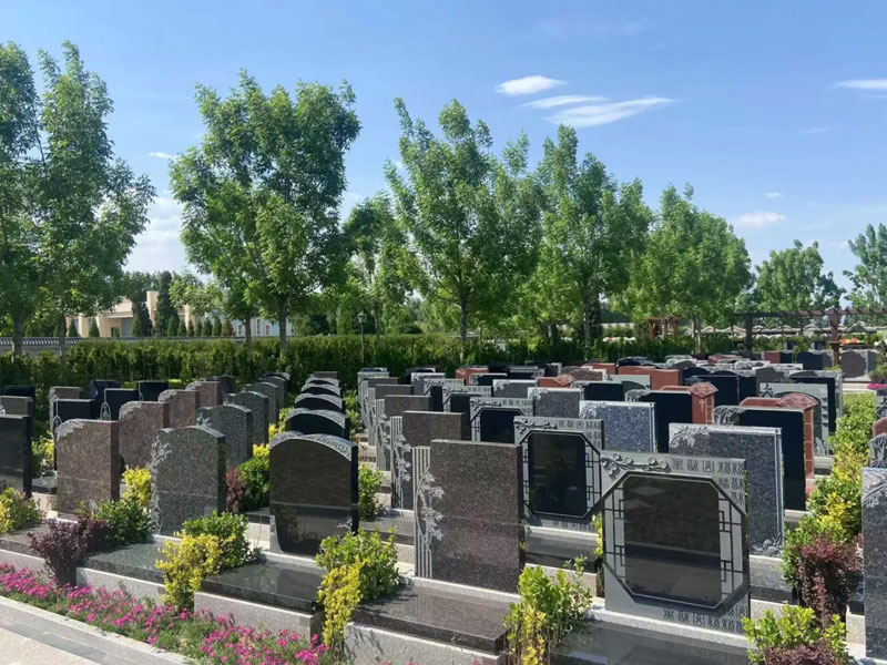 初步筛选墓地 初步筛选墓地