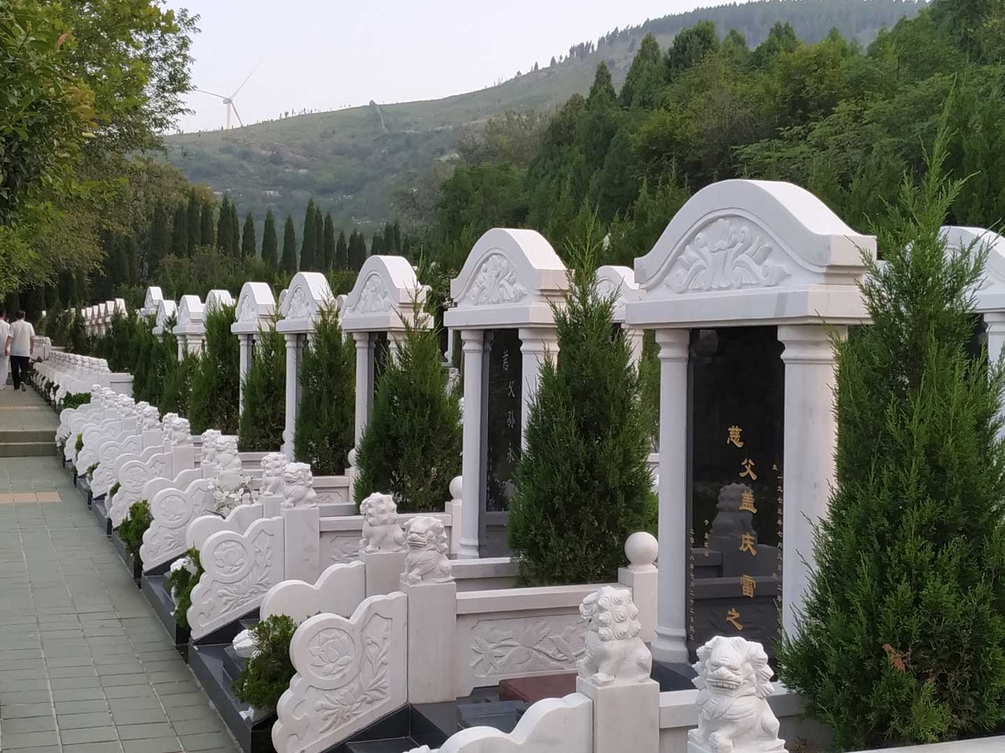 墓地使用年限 墓地使用年限