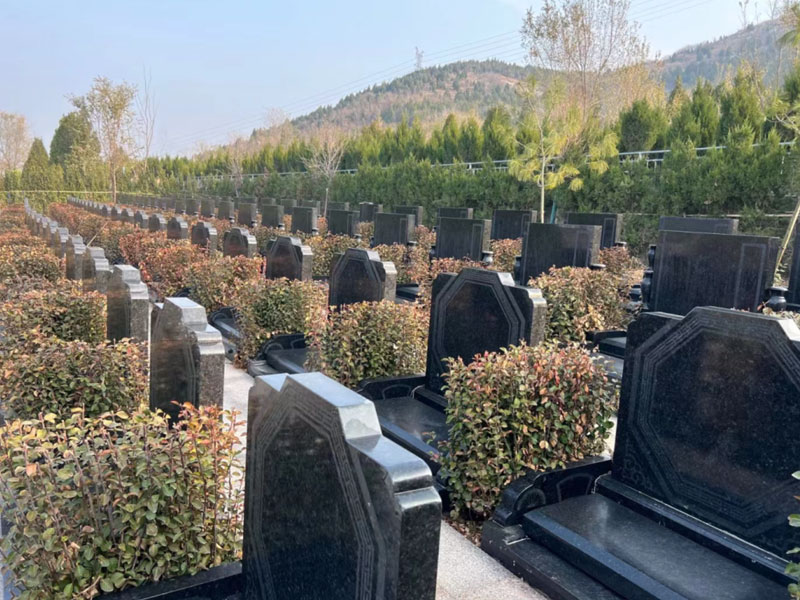 文化象征与心理层面的深层含义