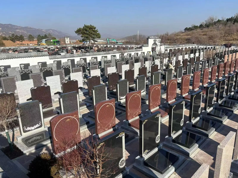 公墓续费实操指南