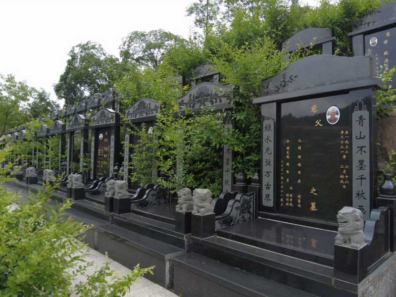 墓地迁坟操作流程