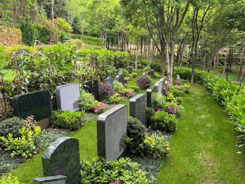 节省丧葬费用的实用策略