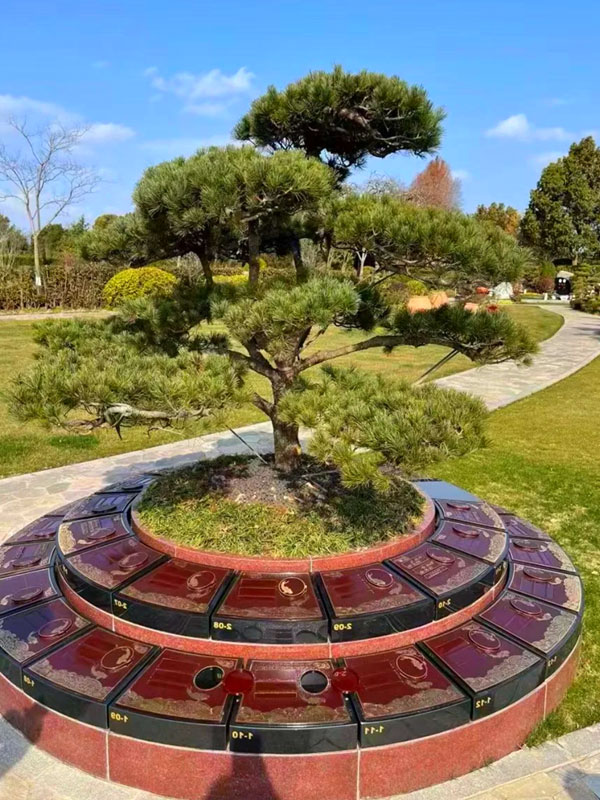 现代树葬的优点