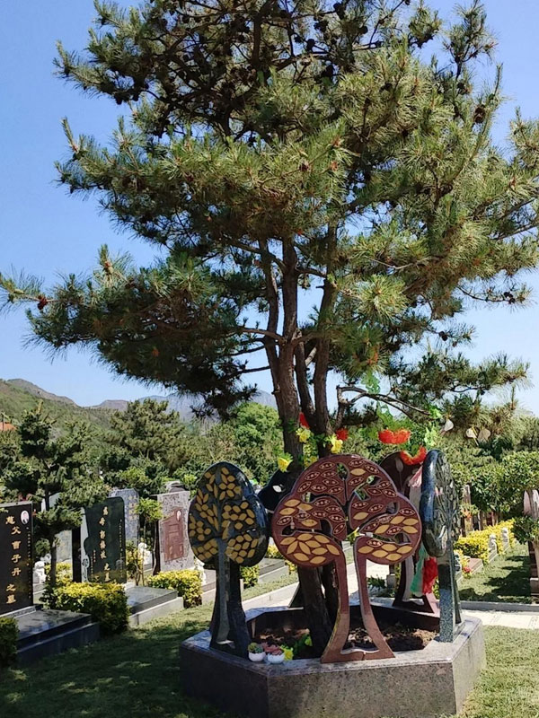 现代树葬的优点