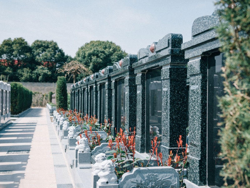 如何确保选择墓地的合法性