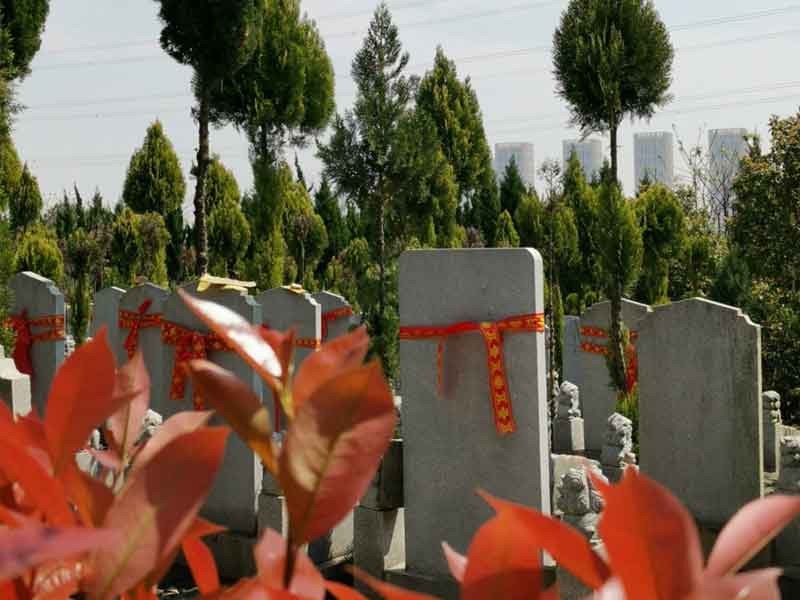 购买墓地具体流程是怎样的 购买墓地具体流程是怎样的