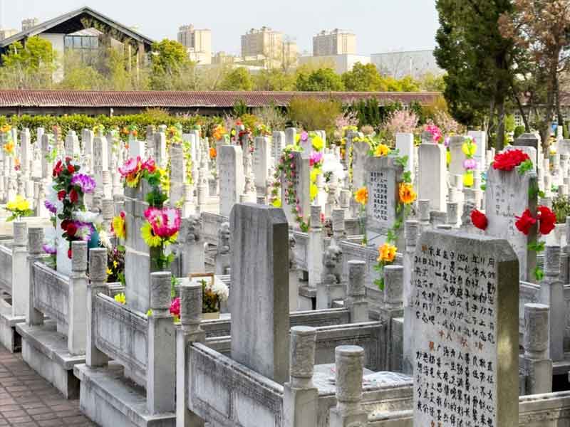 购买墓地需要办理哪些手续 购买墓地需要办理哪些手续