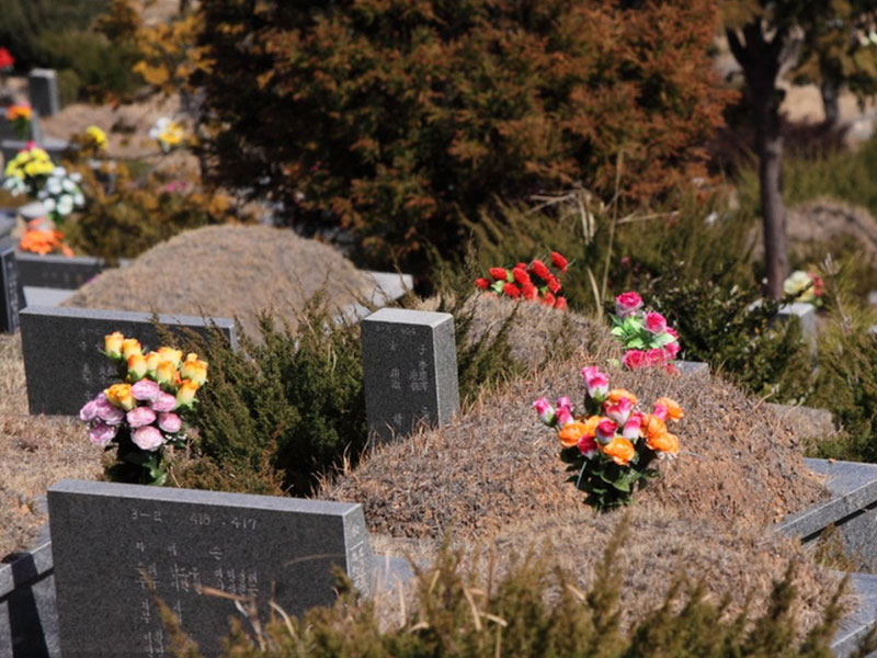 济南热门公墓分布格局