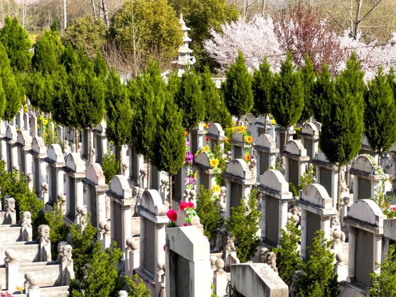 市民关注的三大核心点