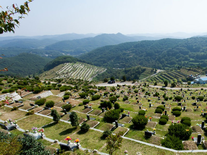 从“看风水”到“看服务”