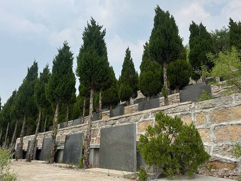 济南陵园风水知识